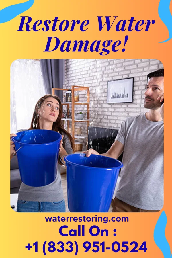 water restoration Ace Flood Damage Inc New Baltimore