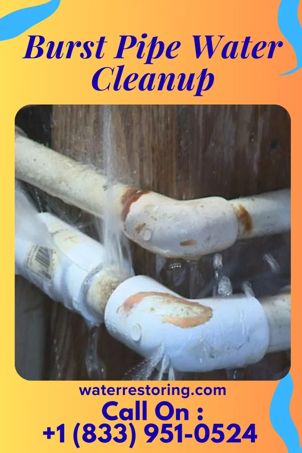 Burst Pipe Water Cleanup in New Baltimore, VA