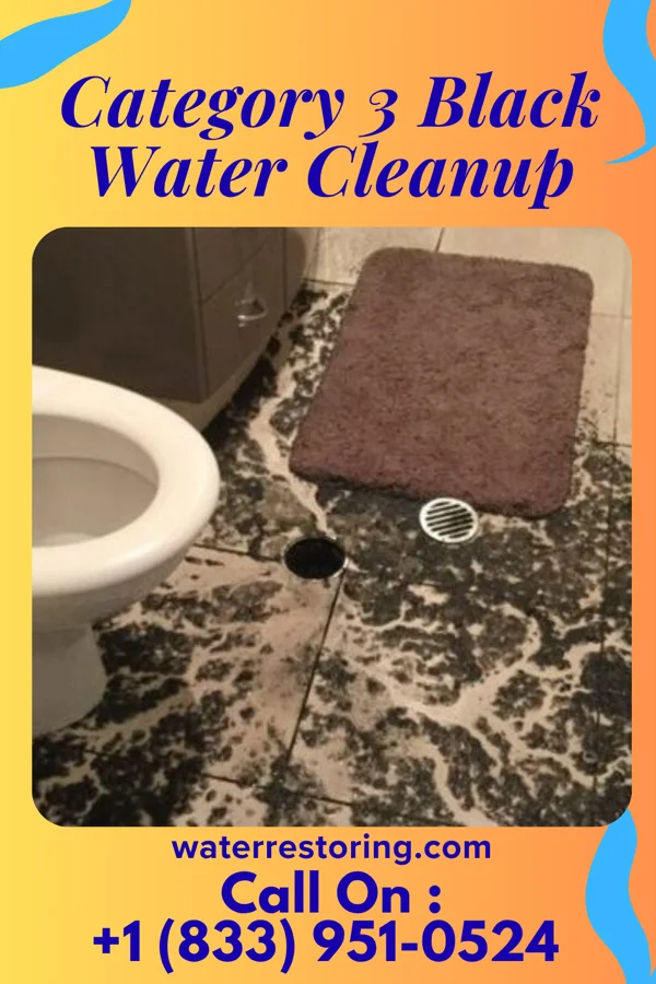 Category 3 Black Water Cleanup in New Baltimore, VA