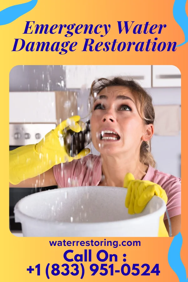 Emergency Water Damage Restoration in New Baltimore, VA