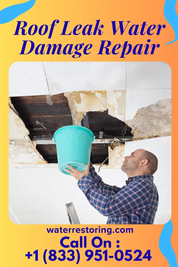 Roof Leak Water Damage Repair in New Baltimore, VA