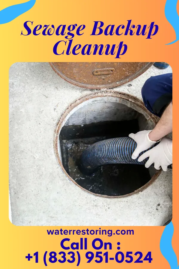 Sewage Backup Cleanup in New Baltimore, VA