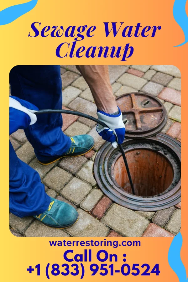 Sewage Water Cleanup in New Baltimore, VA